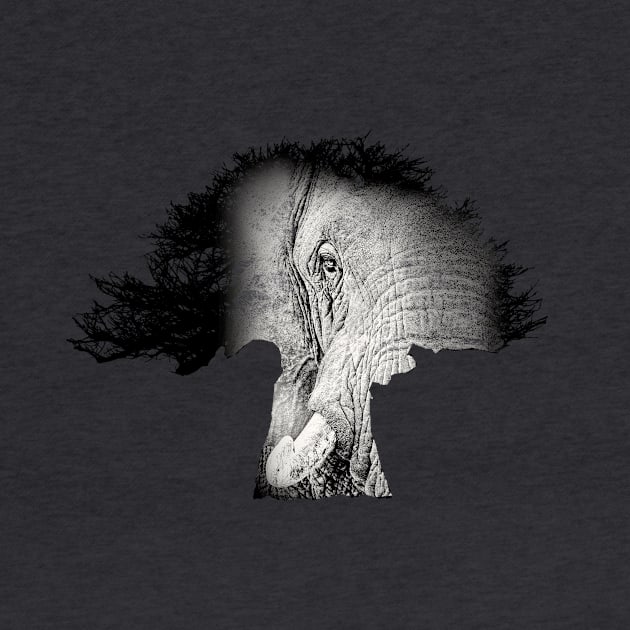 Baobab in Silhouette with Elephant Face Overlay by scotch